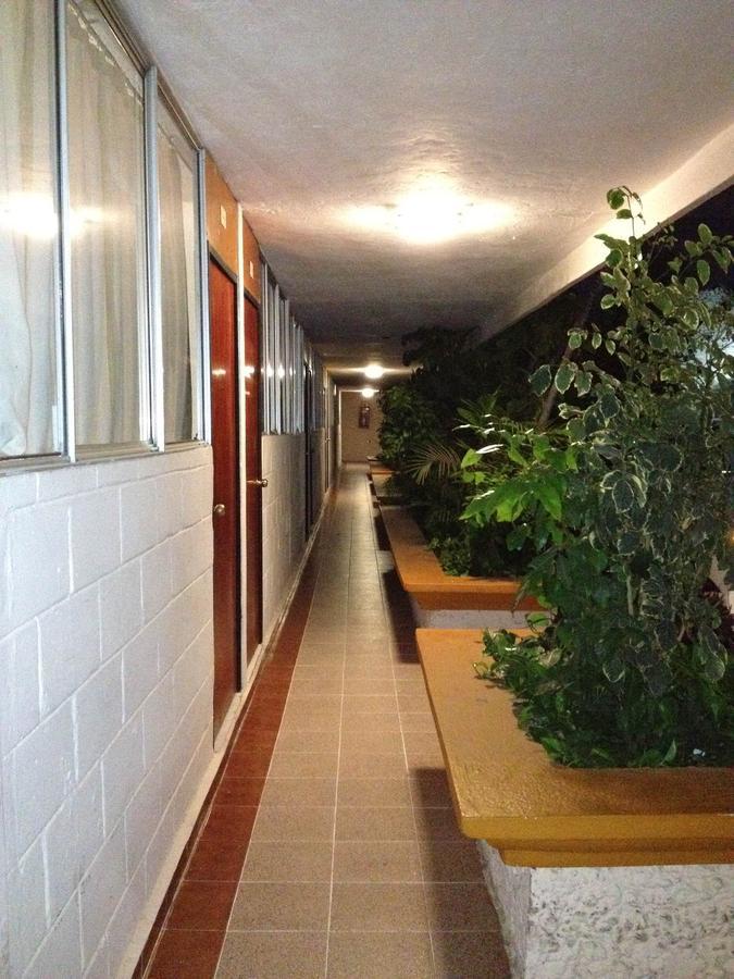 Hotel Safari Tuxtla Gutiérrez Dış mekan fotoğraf